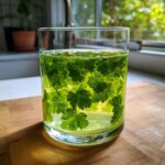 Nahaufnahme eines Glases mit grüner Flüssigkeit und Waldmeisterblättern für die Klassische Maibowle.